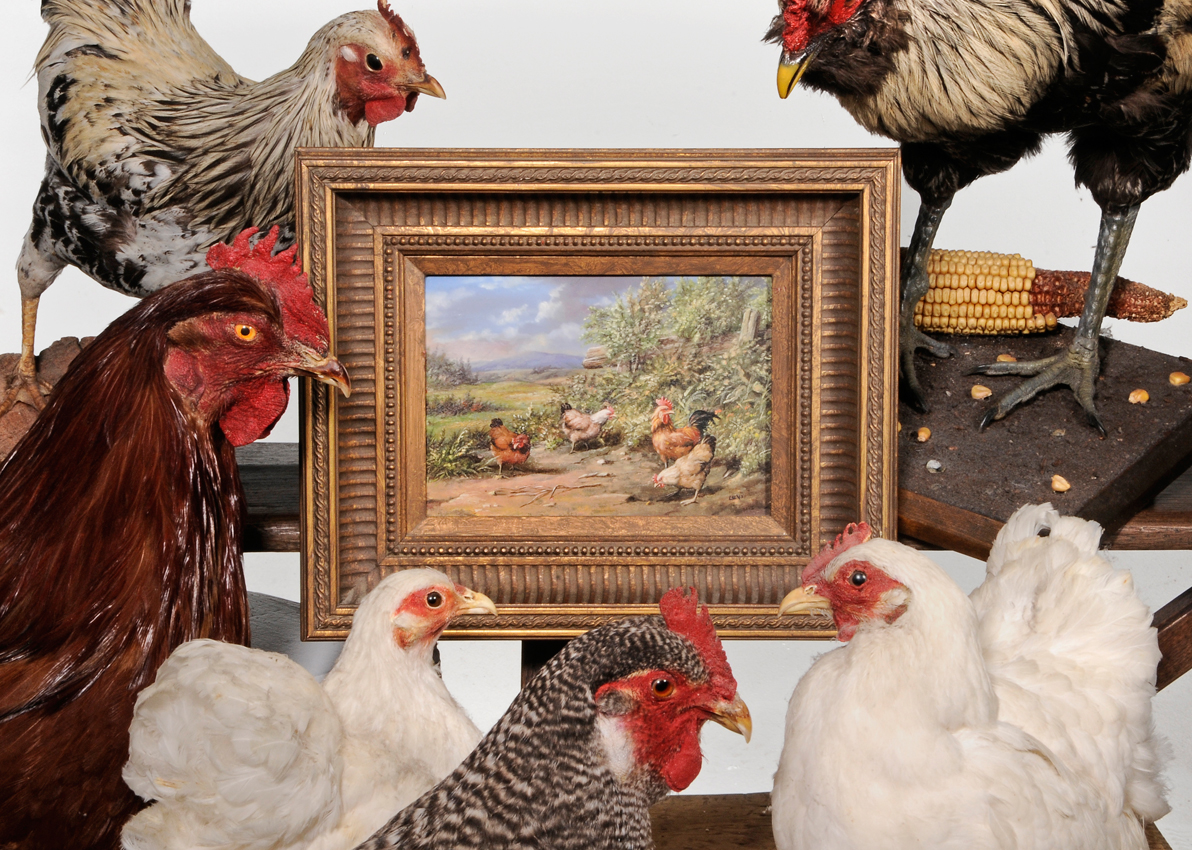 Discovery Auction – June 9 – 4:00 PM